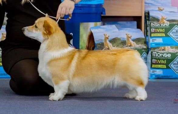 Be my lucky Hermione