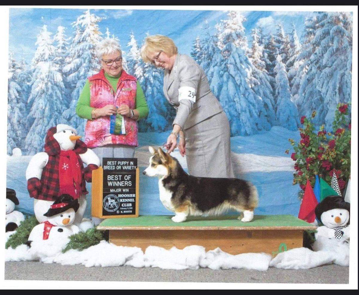 AM Ch. Alenclaud Verbena