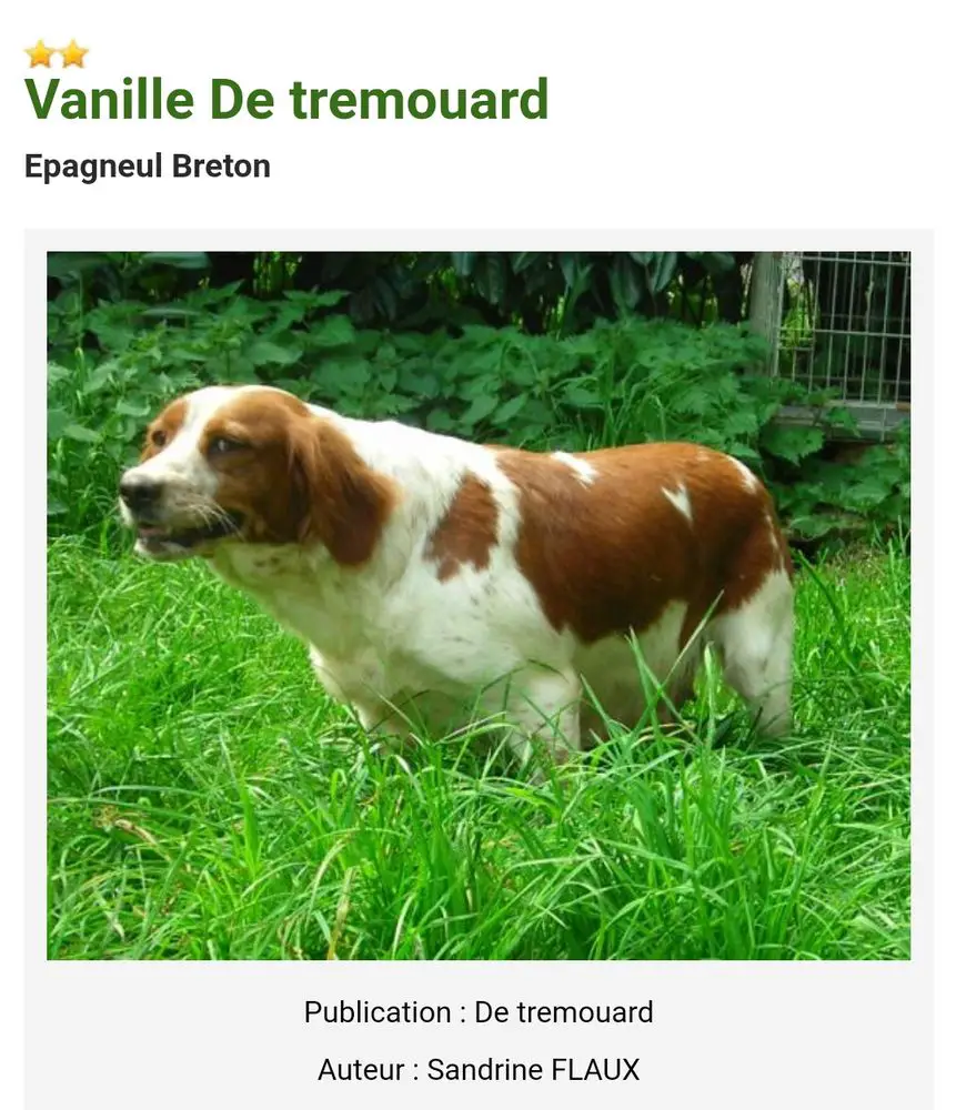 VANILLE de Tremouard