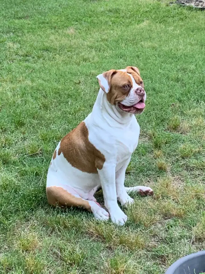 McSpadden's Cyclops of GGK