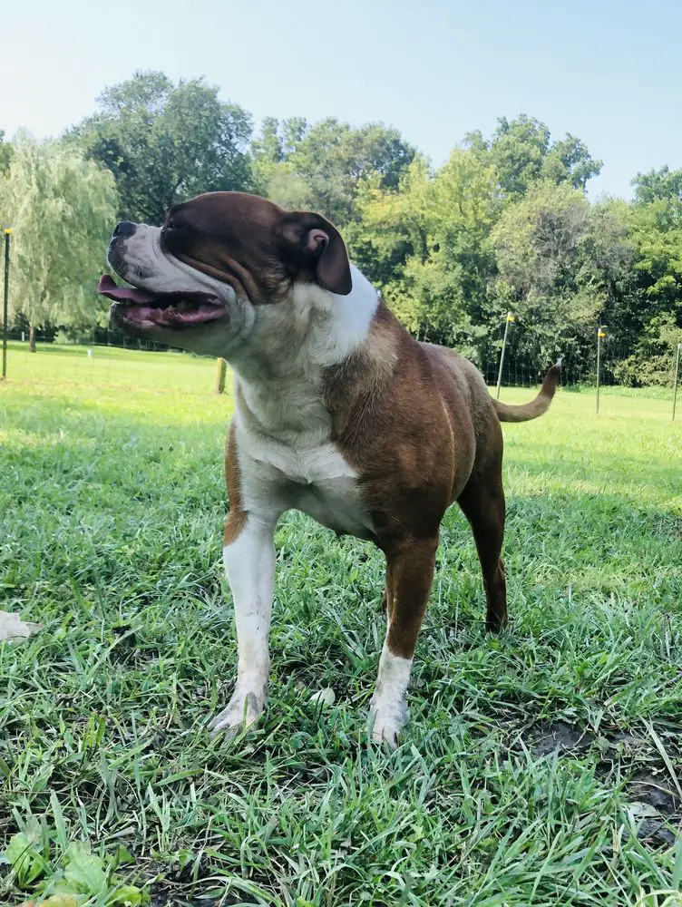 Smith's Gracie Mae