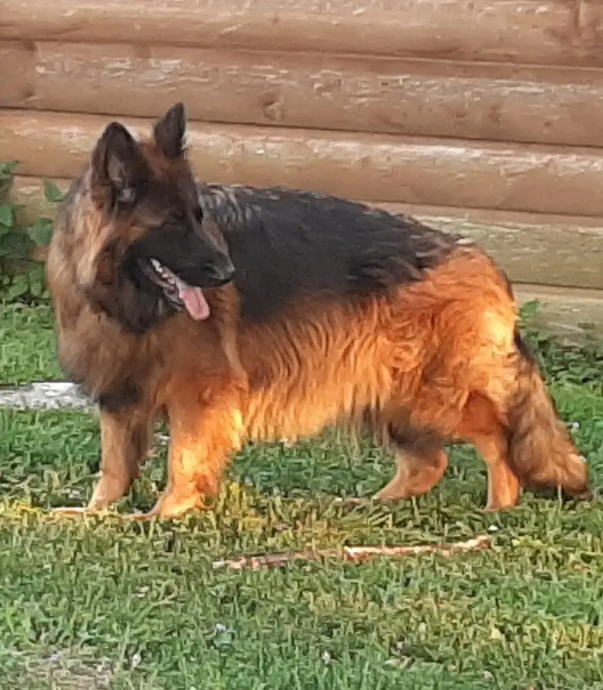 Zollie Von Aducht