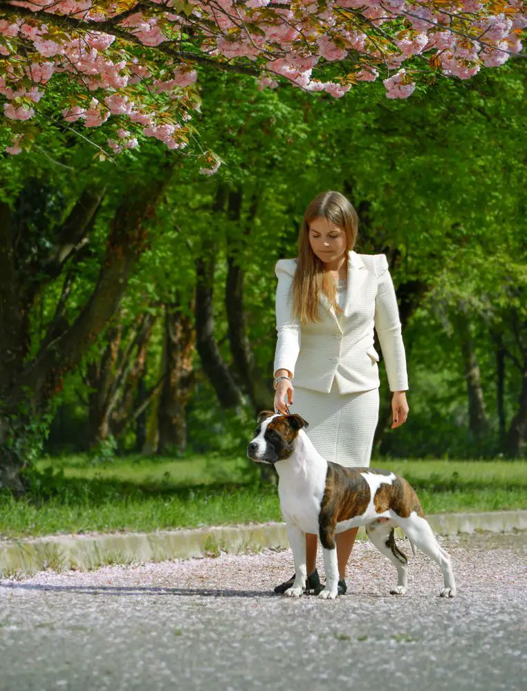 JCH CH Pure Power Us and Them De Paco