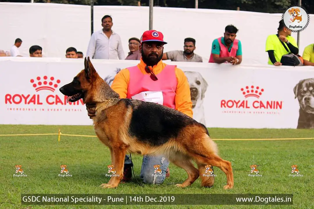 V1 Baika vom huhnegrab