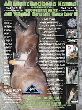 GRNITECH GRCH PR All Night Brush Buster II