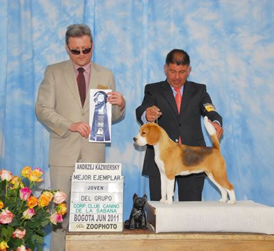 GR.CO.CH.CO.JCO.PR.SICALAM.AYC2012. TKENN DEL CLAINES FLICA