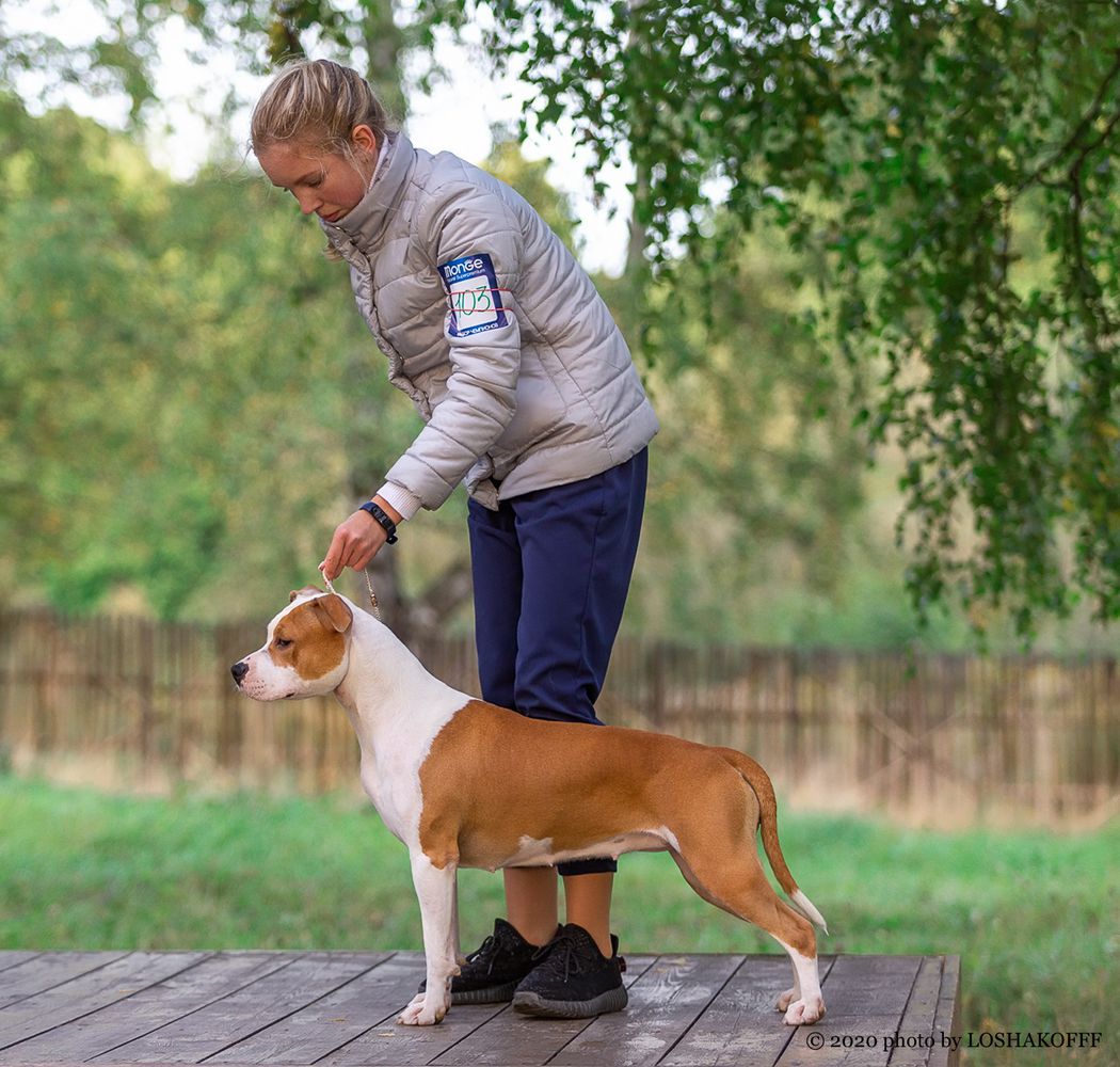 JCH RUS, JCH RKF LAGERTA KING'S LINE