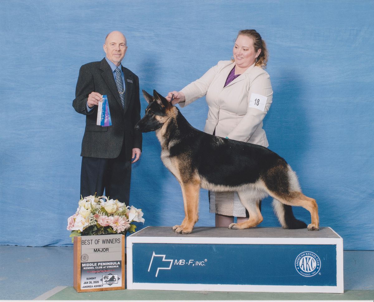 AKC Ptd Trademark's Can't Stop Xena