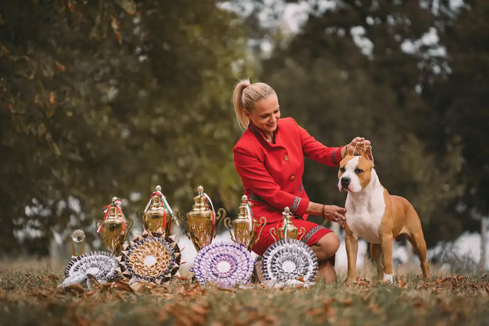 Ice Breaker Shining Field