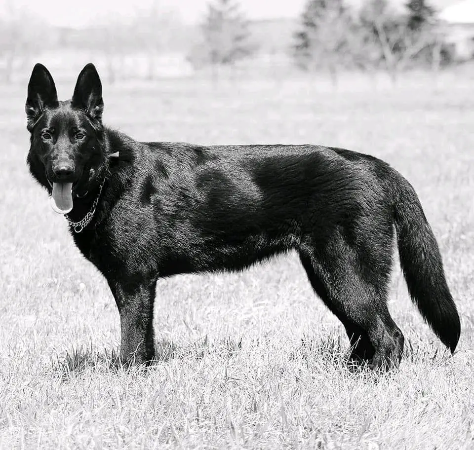 Berlin Von Haus Thomson