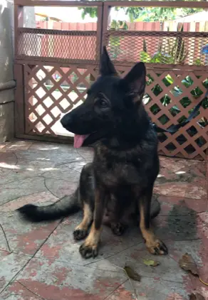 KAYLA VON KUSTENWACHE