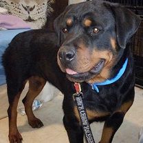 Karla Von Flustern Berg