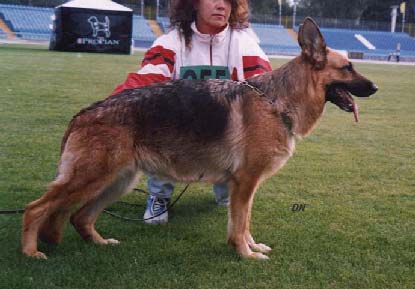 VA5 (SHZS-UA) Canina vom Lechtal