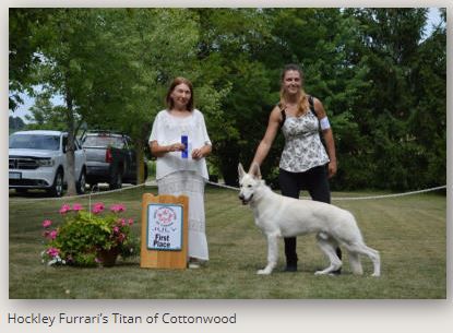 Hockley Furrari's Titan of Cottonwood.