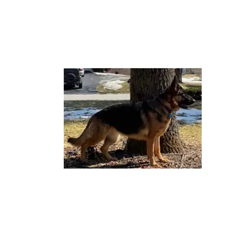 Quorra vom hohlen Huegel