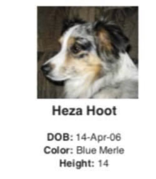 Heza Hoot