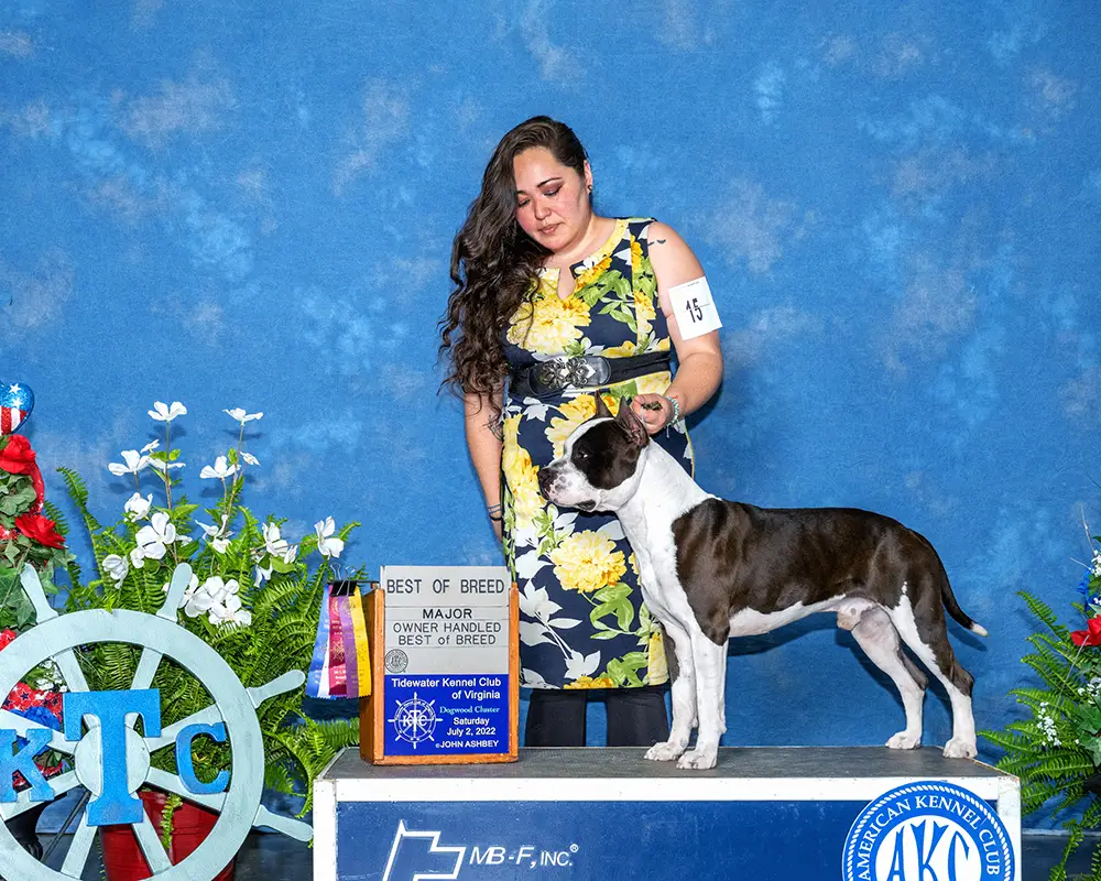 AKC CH/UKC RBIS GRCH Ohanas Written In The Stars
