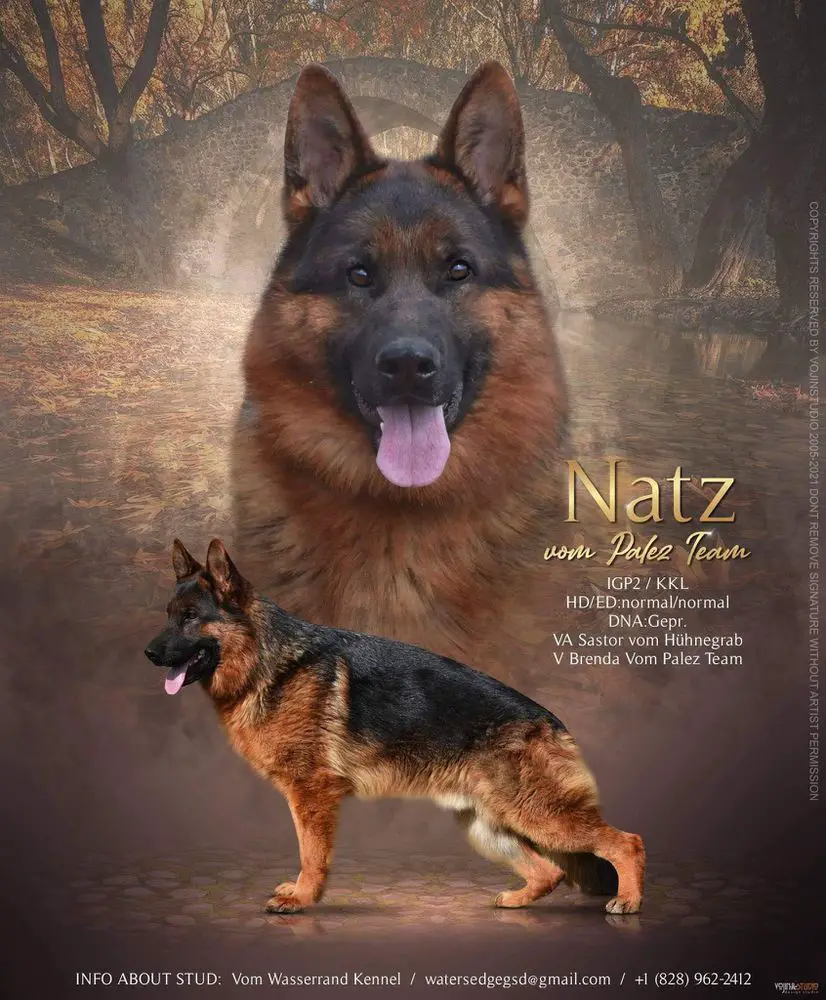 V Natz Vom Palez Team