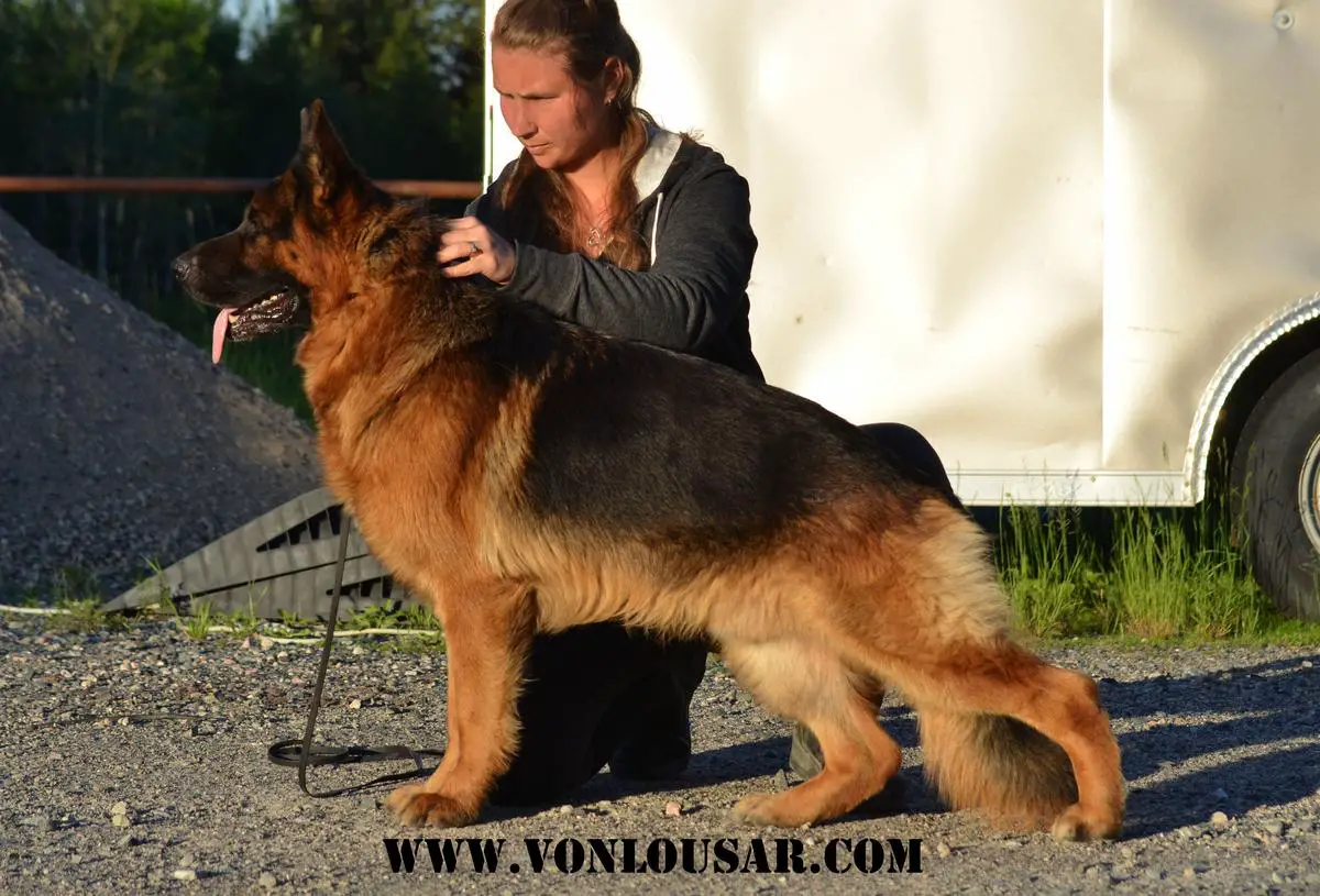 HOBO AUS FAMKE'S ZAUBERWALD