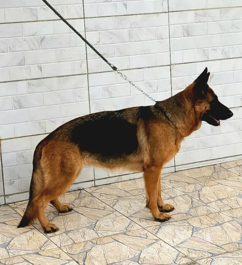 Bila do Cruz São Lázaro