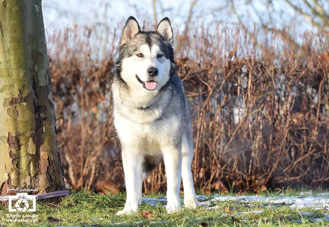 NAMI Watashi No Yujin