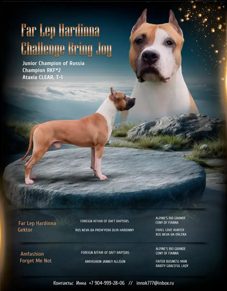 JCH.RUS     2CH.PKF. T1 Far Lеp Hardinna Challenge Bring Joy