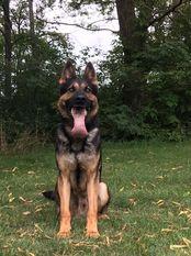 V Xero von den Schwedenschanzen