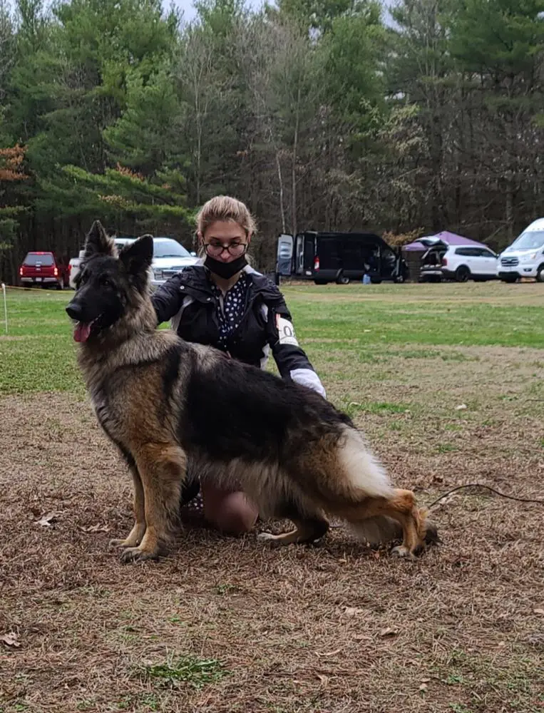 Sholan Kysarah Hell freezes over