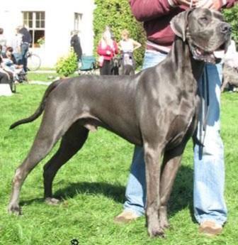 Vino Von Der Wolfshohle