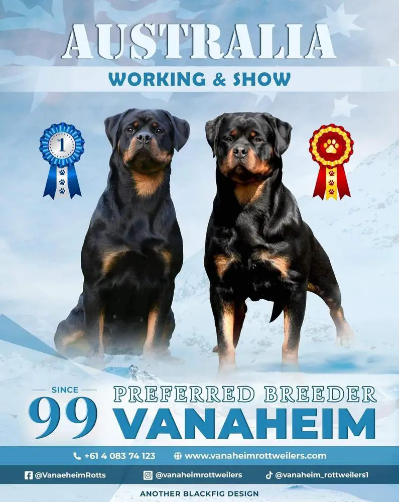 Octavia of Torma House