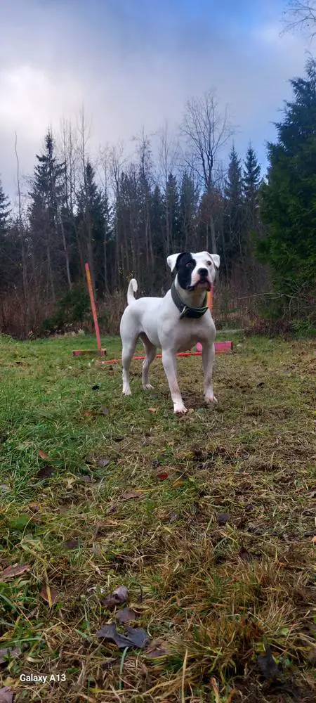 Burnbacks coral springs of tb