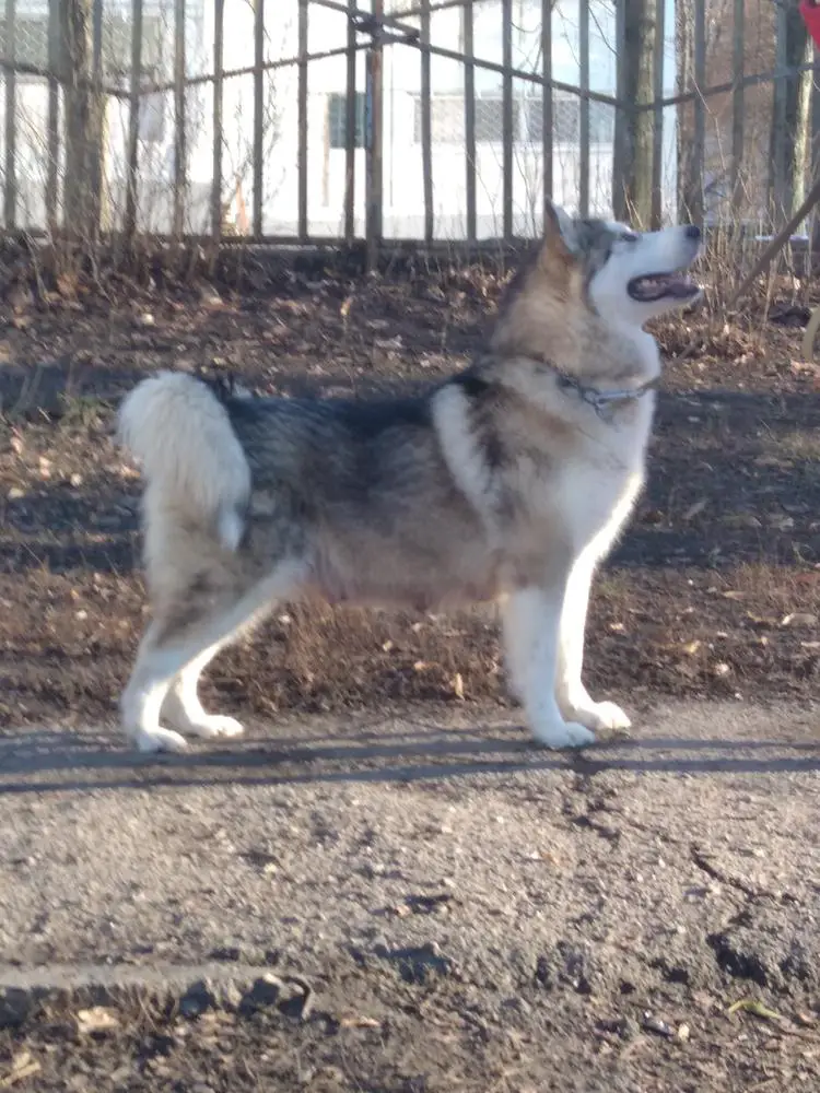 Excellent Celebrities'House Cassiopeia