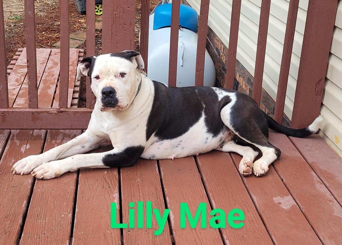 Lilly Mae Allen