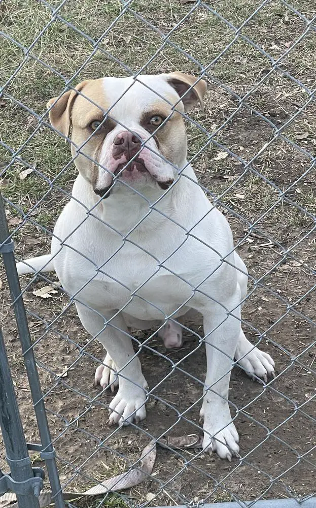 Hood Ryder of TeamBallin