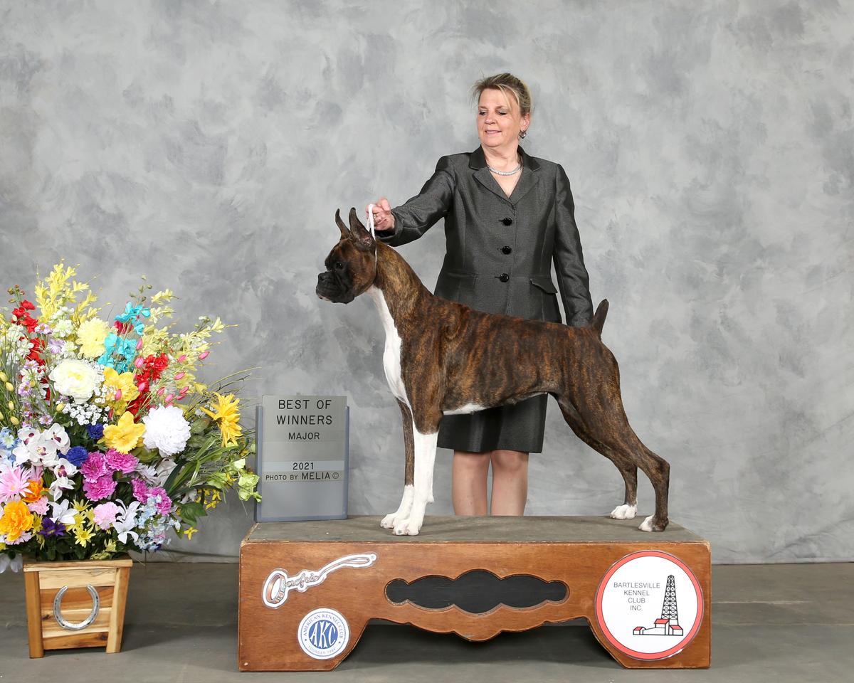 Champion Ensign's First Impression