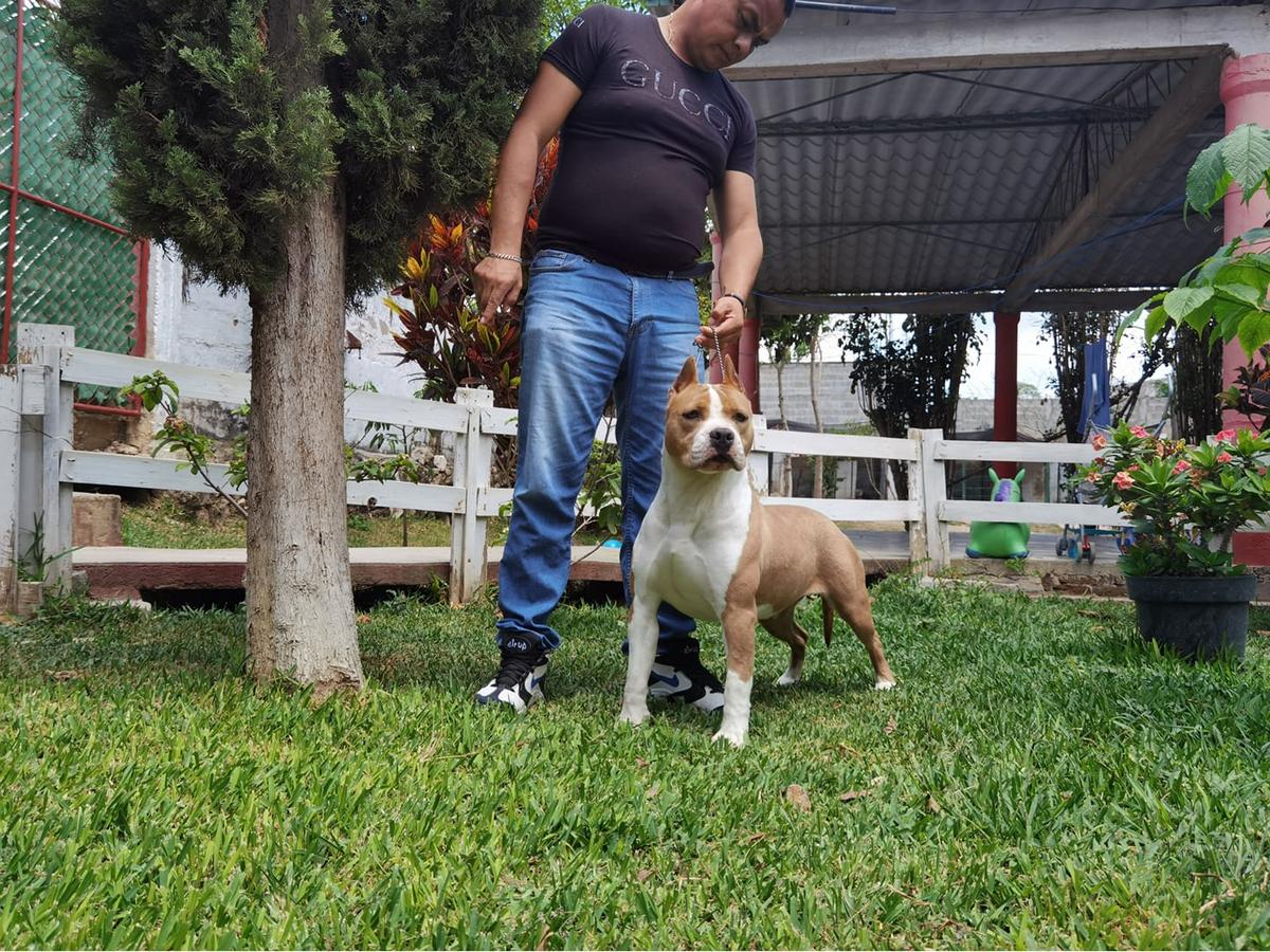 CH JR GUATEMALTECO Donna Paulsen Cardenas