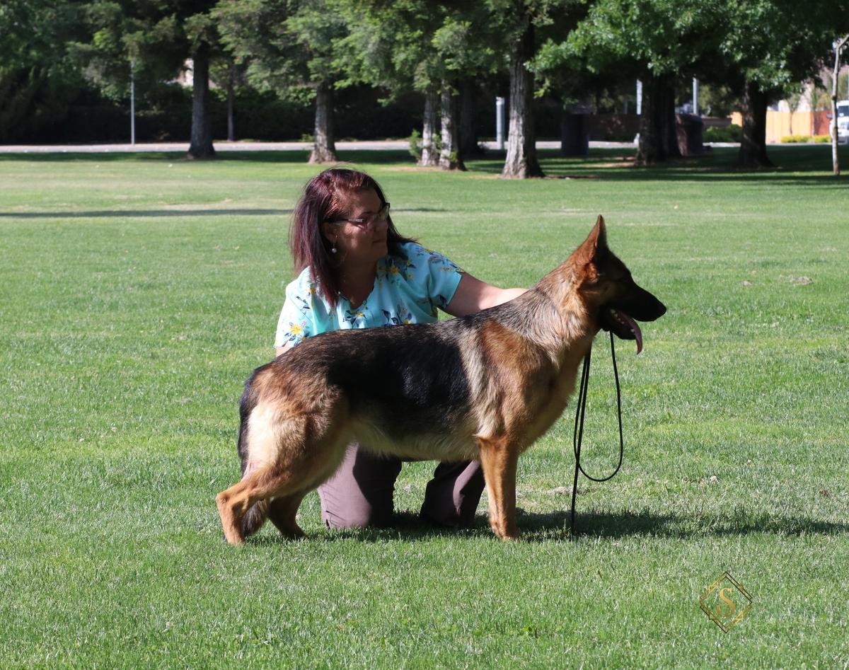 Hausmekon's Little sure shot Annie