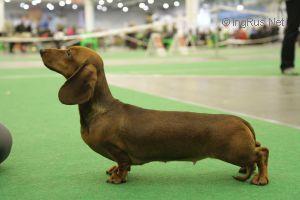 GCH MOL Hennessi S Dviny