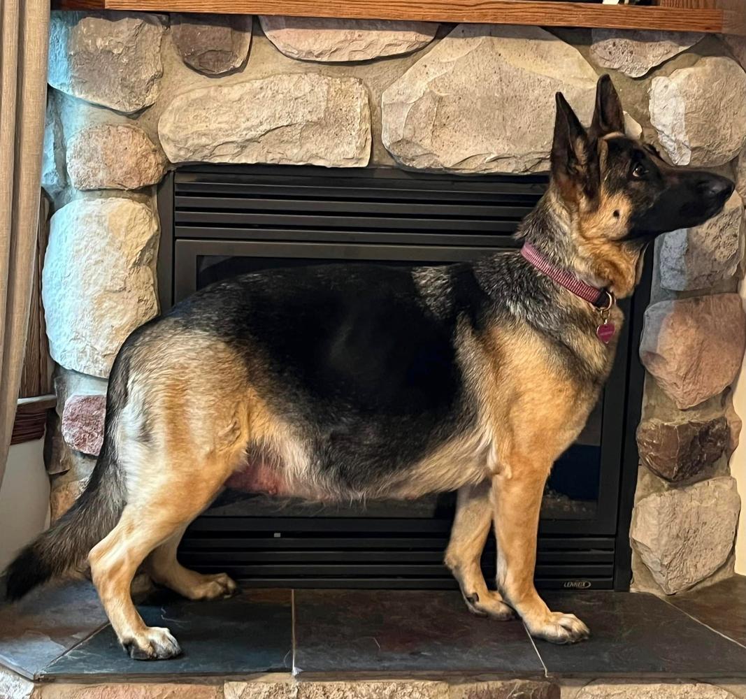 Deborah's Gem, Ruby