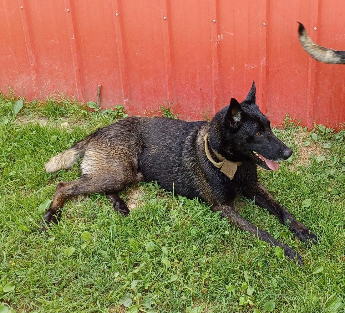 Jumping For The Moon Jake