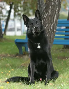 Cash von der Zehntenscheune