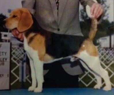 Am CH, Can CH Birchwood YMCA