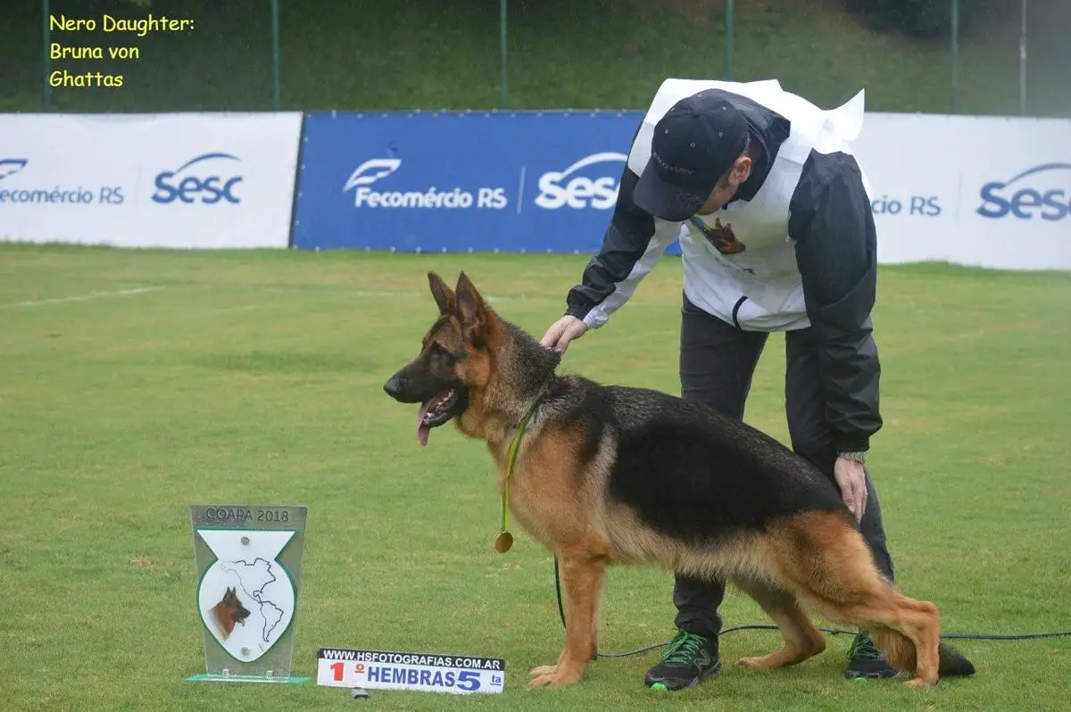 Siegerina COAPA 2018 5TA CAT. Bruna von Ghattas