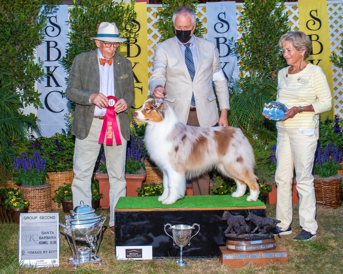 GCH Limelites Man Of The Hour