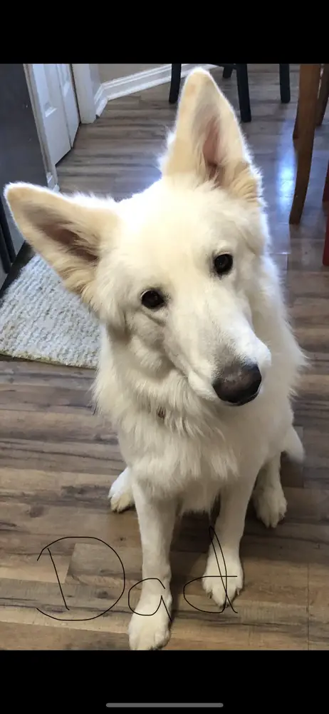 Mad Max A Million IX