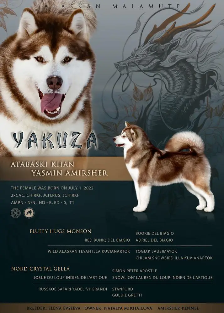 JChRUS, JChRKF, ChRKF Atabaski Khan Yasmin Amirsher