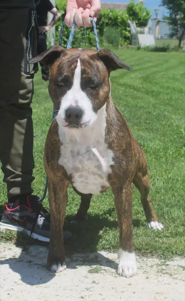 Moon Rock Landi's Change Your Heart