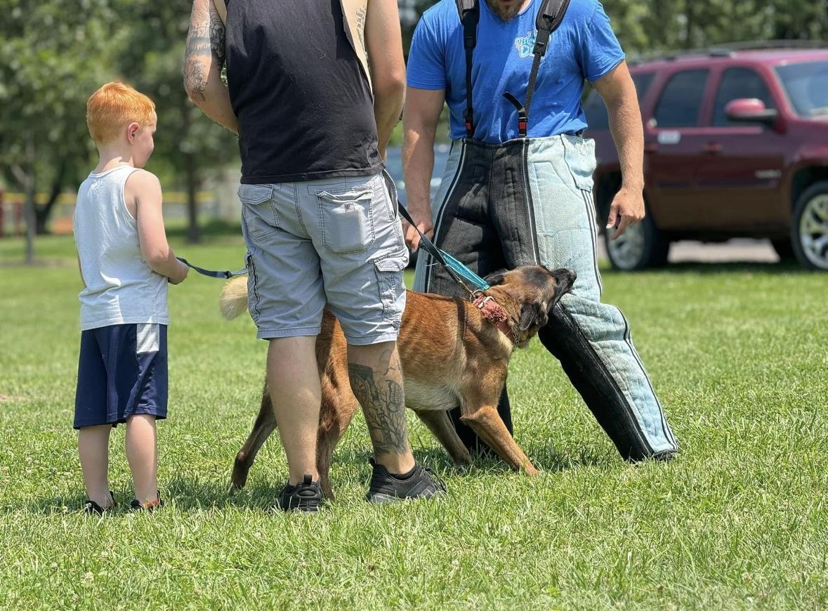 Pdc Harwoods Outlaw Ico