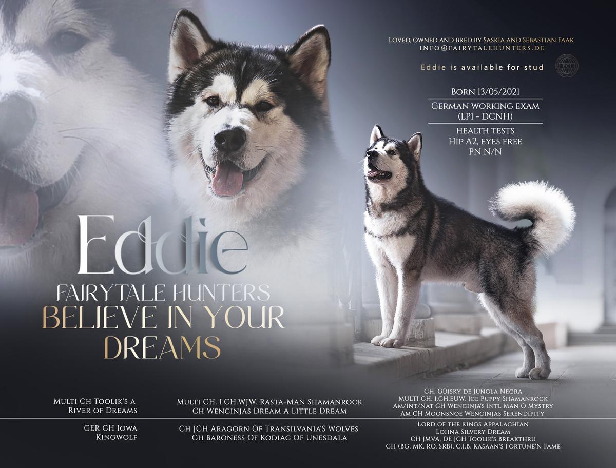 GER CH Fairytale Hunters Believe in your dreams