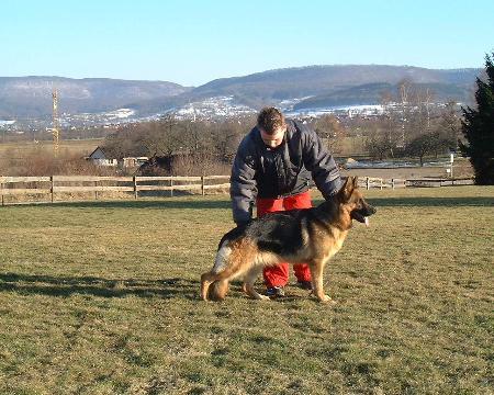Ursa von der Bastillie